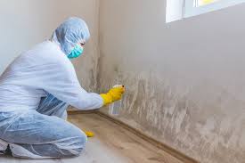 Best Mold Removal for HVAC Installations  in Matawan, NJ